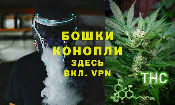 прущие грибы Михайловск