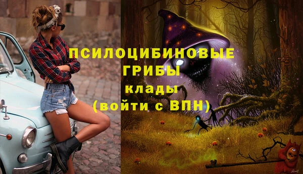 mdpv Надым