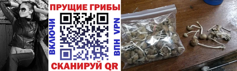 Галлюциногенные грибы GOLDEN TEACHER  Кяхта 